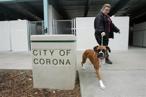 Corona animal shelter - Apr 30, 2019 · Corona Animal Services and Enforcer Supervisor Daniel Pacheco said the 8-week old dogs are healthy. "They are eating, drinking and walking around on their own," Pacheco said. A woman brought the ... 